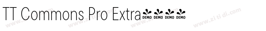 TT Commons Pro Extra字体转换